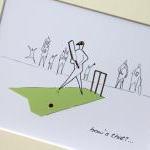 Cricket Anonymity Illustrat..